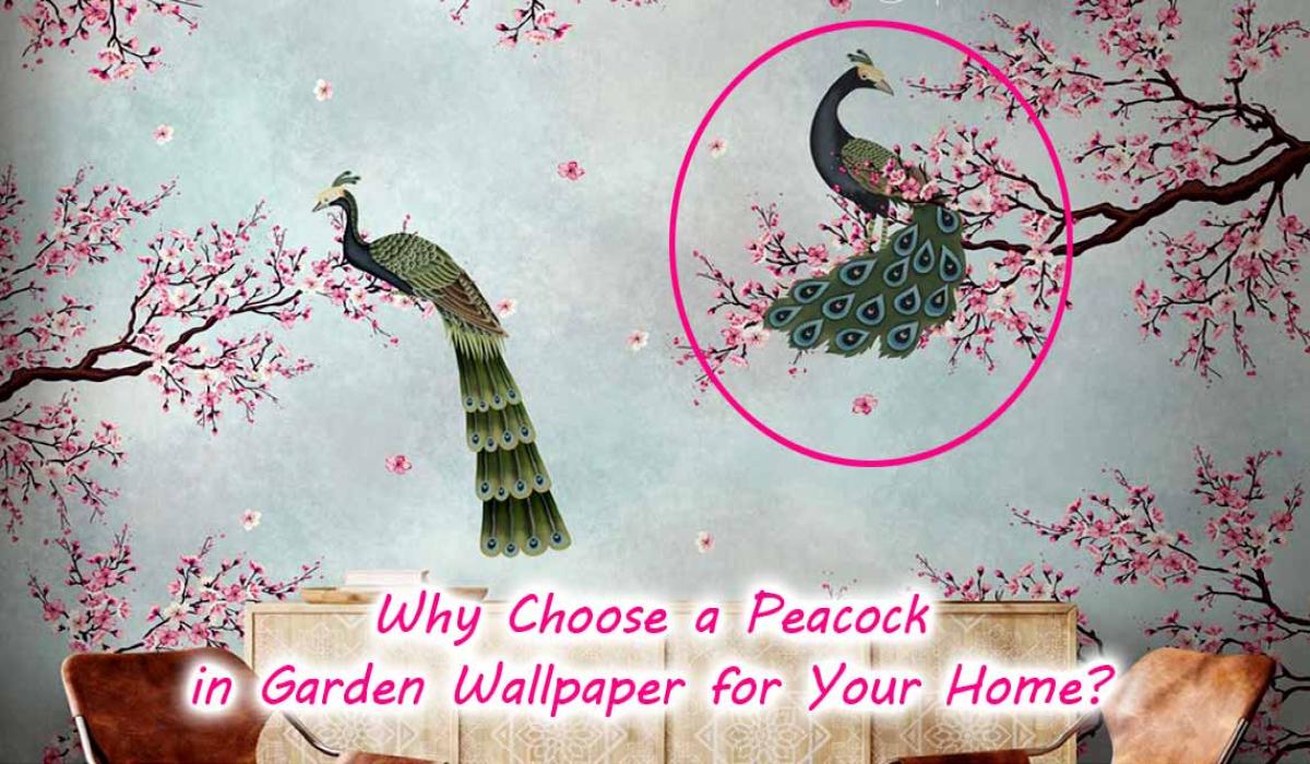 Why Choose a Peacock in Garden Wallpaper for Your Home?