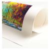Print Roll Only