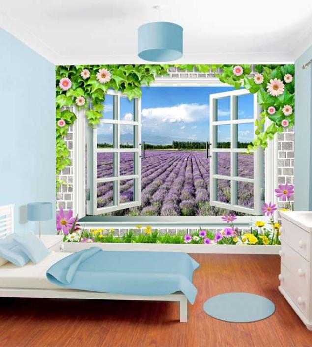 Field View Window Mural