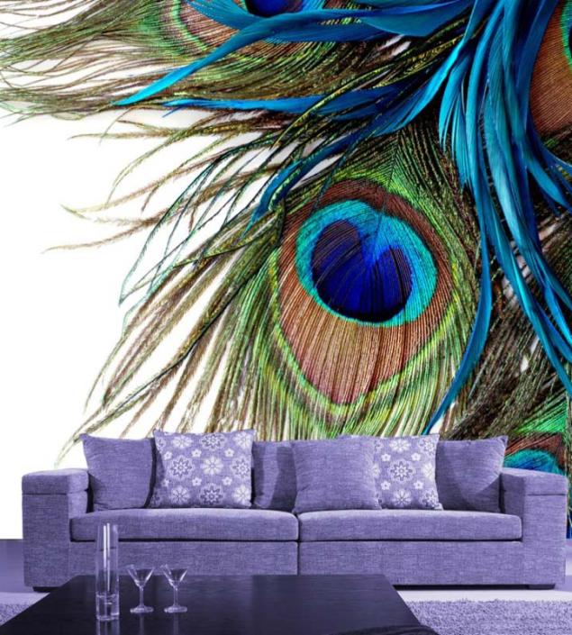Peacock Feather Mural