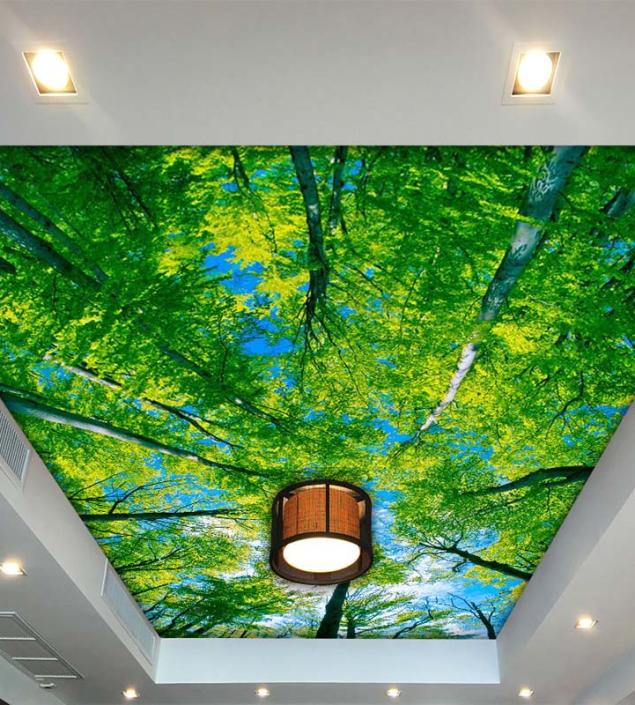 Trees Ceiling Mural