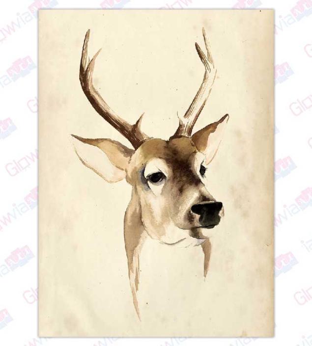 Deer Art Canvas