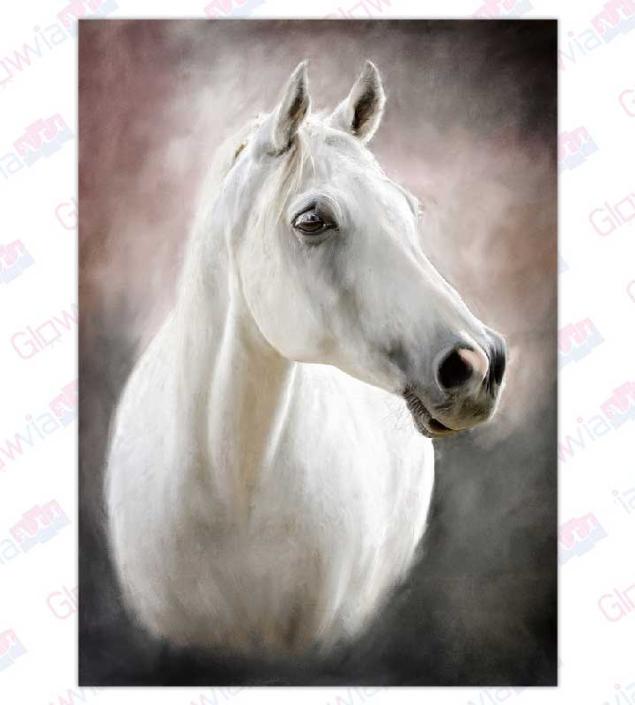 Horse Art Canvas