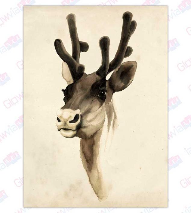 Amazing Deer Art Canvas