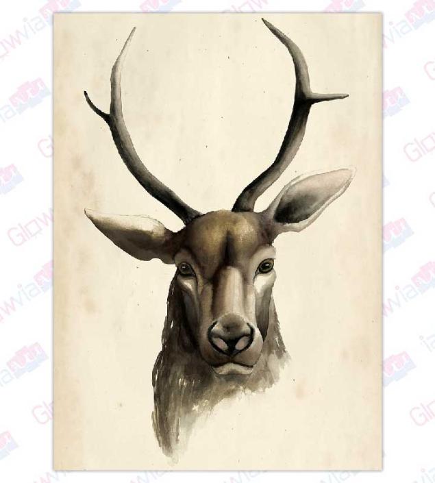 Wonderful Deer Art Canvas & Frame