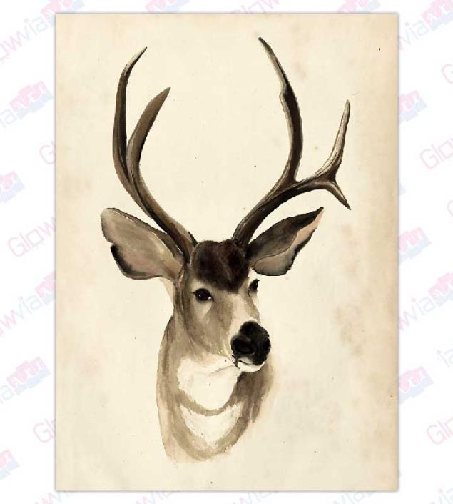 Beautiful Deer Art Canvas