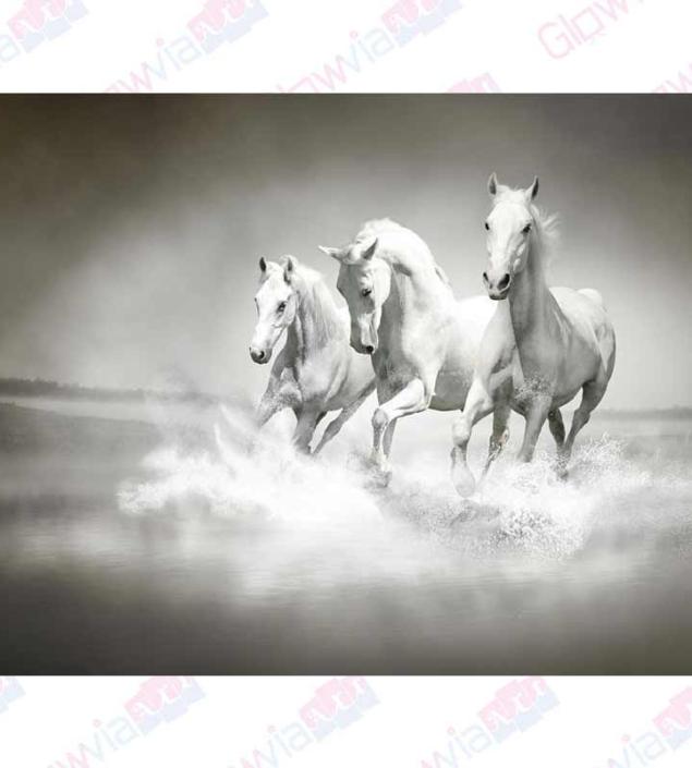 3 Running Horses Canvas