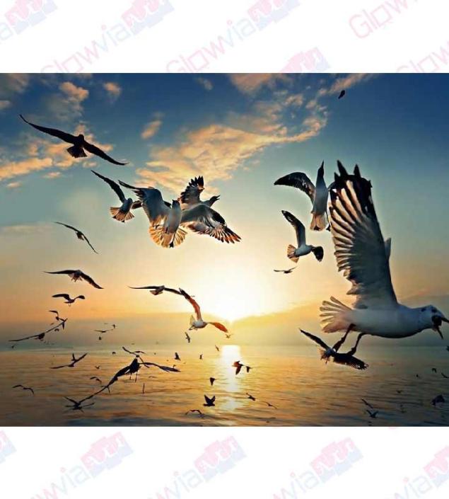 Flying Birds Canvas & Frame