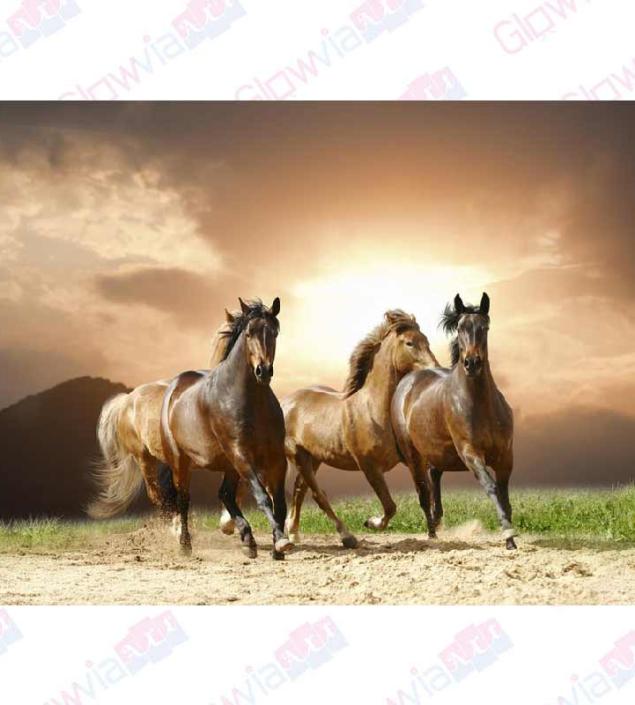 Running Mares Canvas & Frame