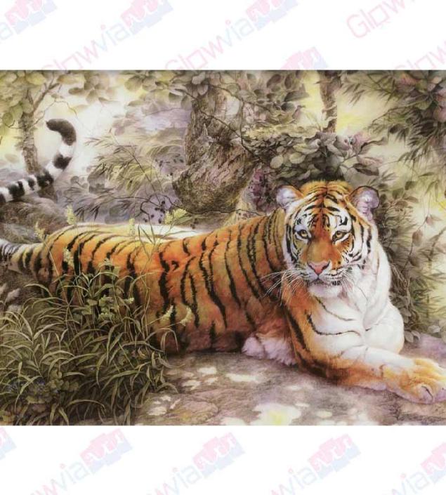 Wild Tiger Art Canvas & Frame