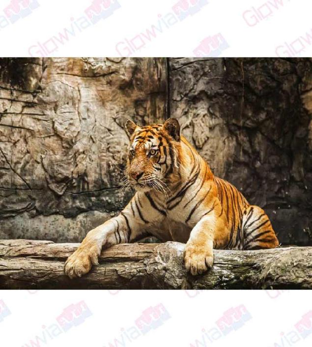 Panther Canvas & Frame