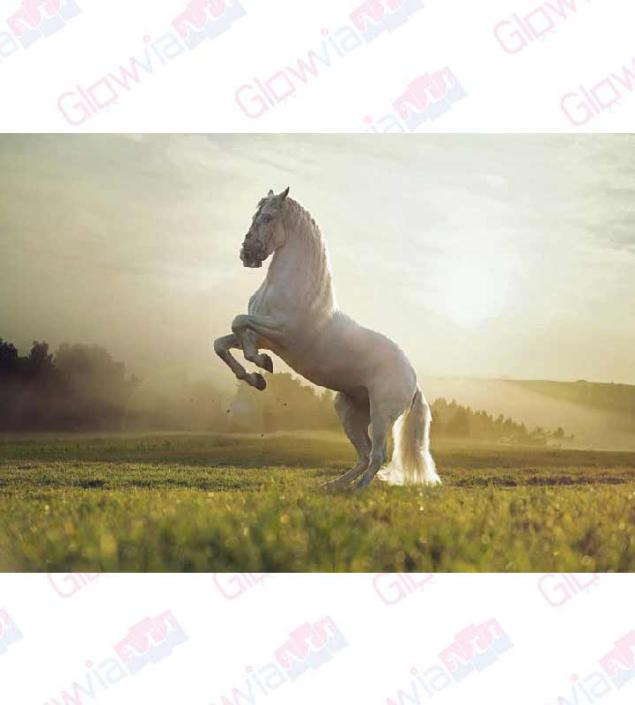 Standing Horse Canvas