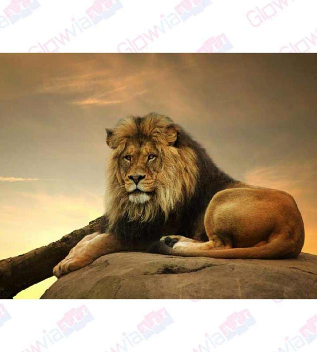 Lion King Canvas Print