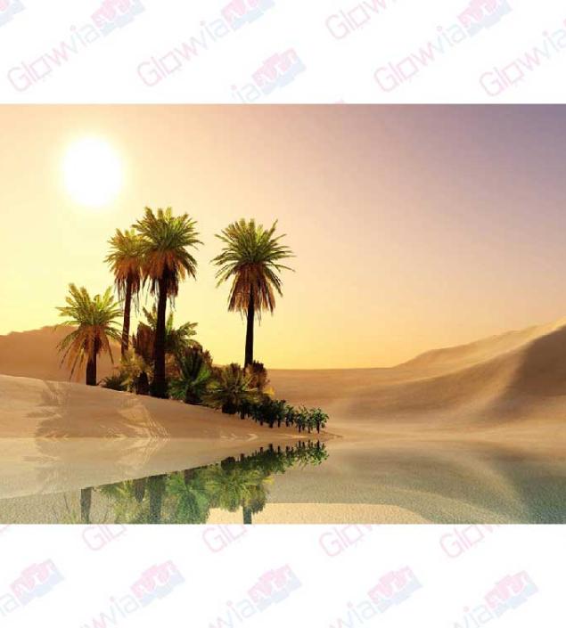 Desert Scene Canvas & Frame