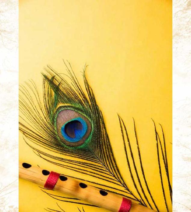 Krishna Flute & Peacock Feather