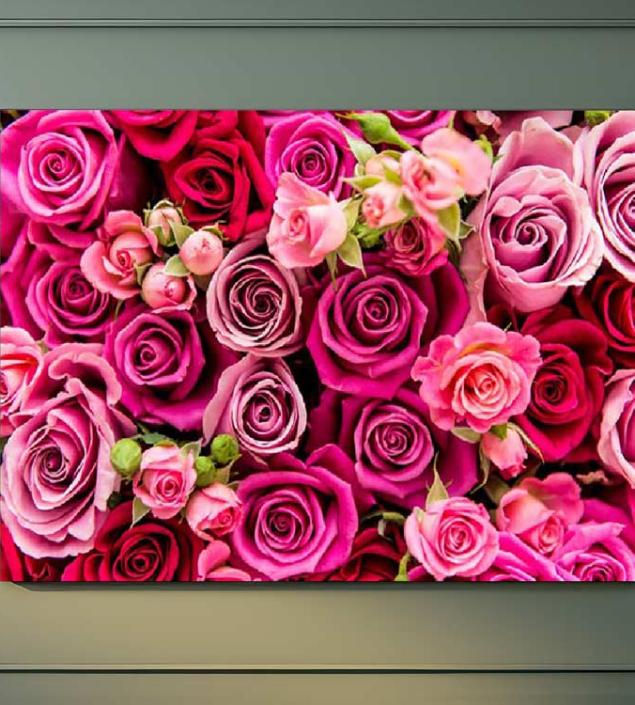 Roses Canvas & Frames