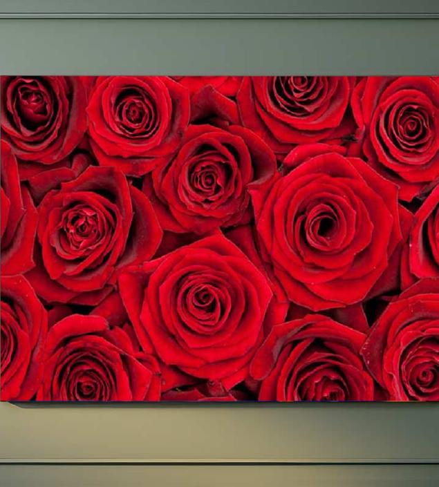 Red Roses Canvas