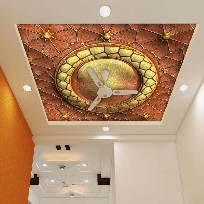 Circle Design Ceiling Mural